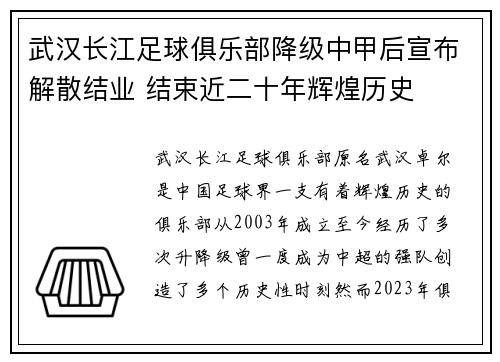 武汉长江足球俱乐部降级中甲后宣布解散结业 结束近二十年辉煌历史 武汉长江足球俱乐部降级中甲后宣布解散结业 结束近二十年辉煌历史